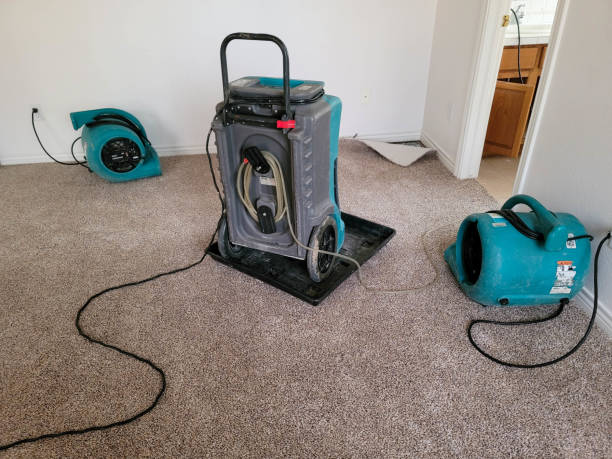 Best Water damage contractors near me  in Baker, LA