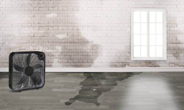 Best Flood restoration services  in Baker, LA