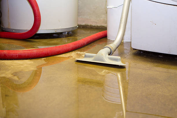 Best Sewage cleanup and water damage restoration  in Baker, LA
