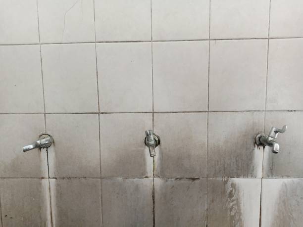 Best Water damage cleanup near me  in Baker, LA