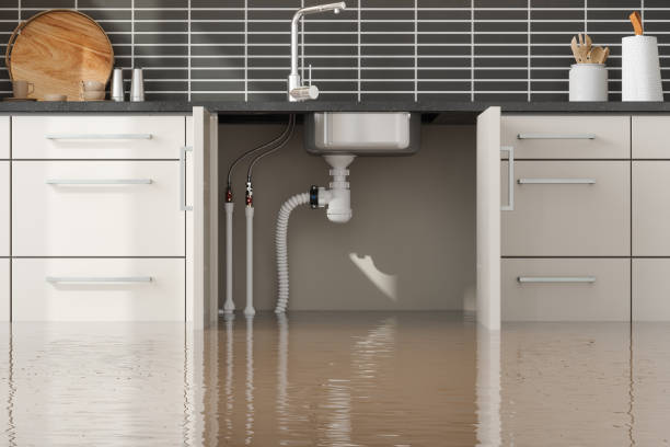  Baker, LA Water damage restoration Pros
