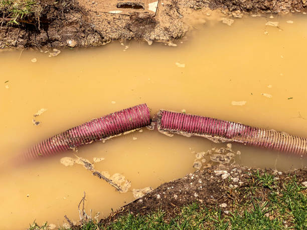 Best 24/7 water damage repair  in Baker, LA